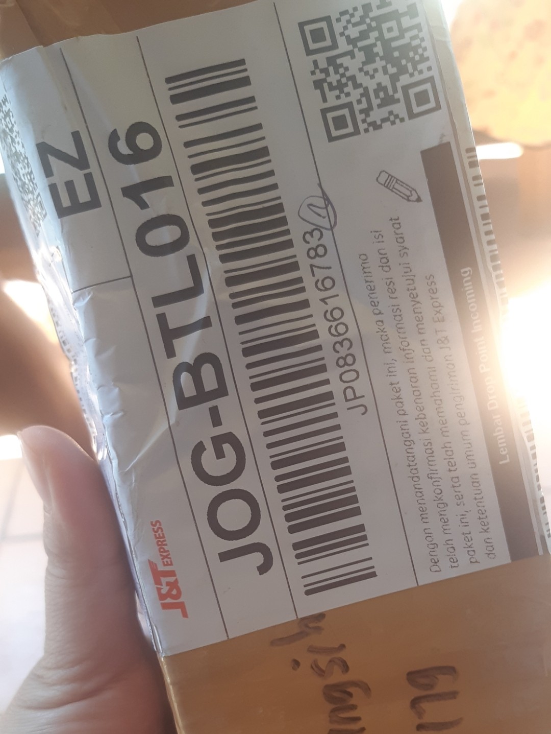 Tanaman Gantung Ivy Varigata Ivi Variegata