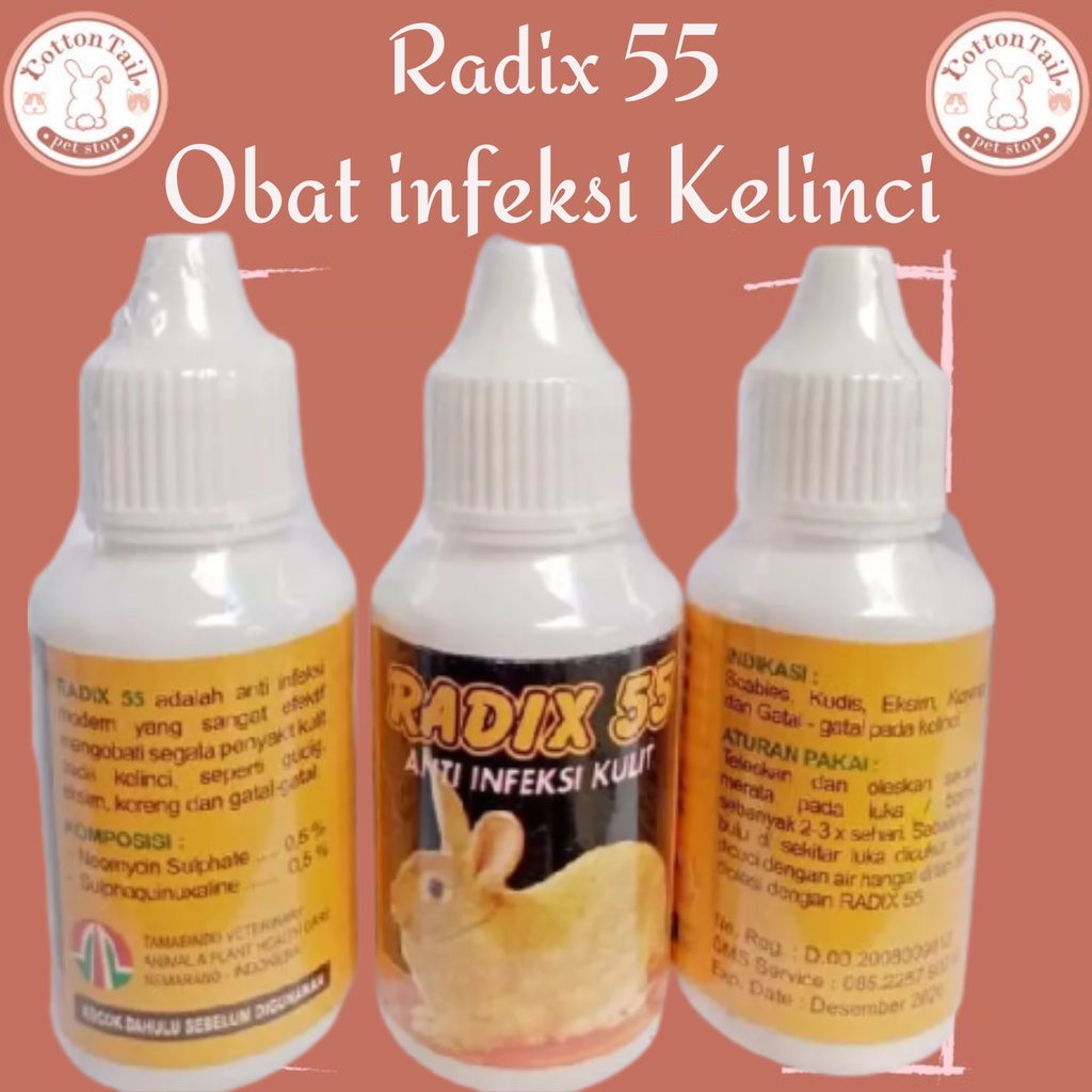 Radix 55 Anti infeksi luka kelinci