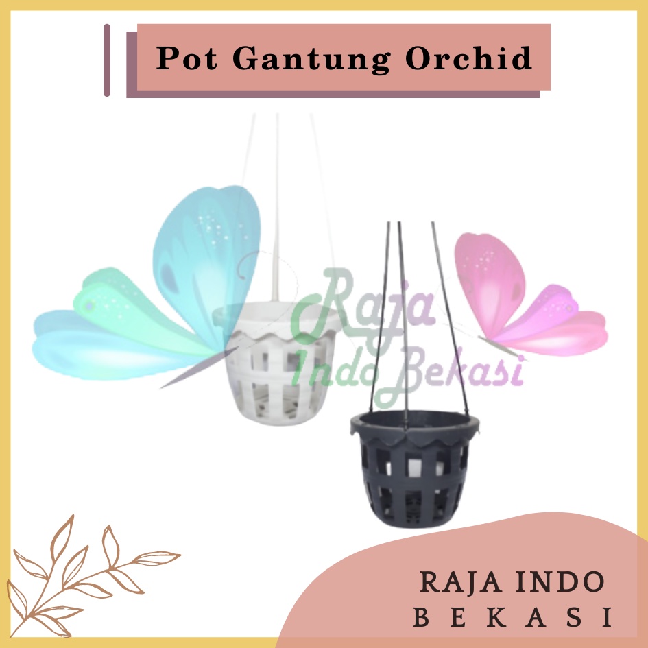 Pot Gantung Anggrek Orchid 10cm Putih Hitam Pot Anggrek Murah Bkn Pot Anggrek Gantung NKT Putih 14