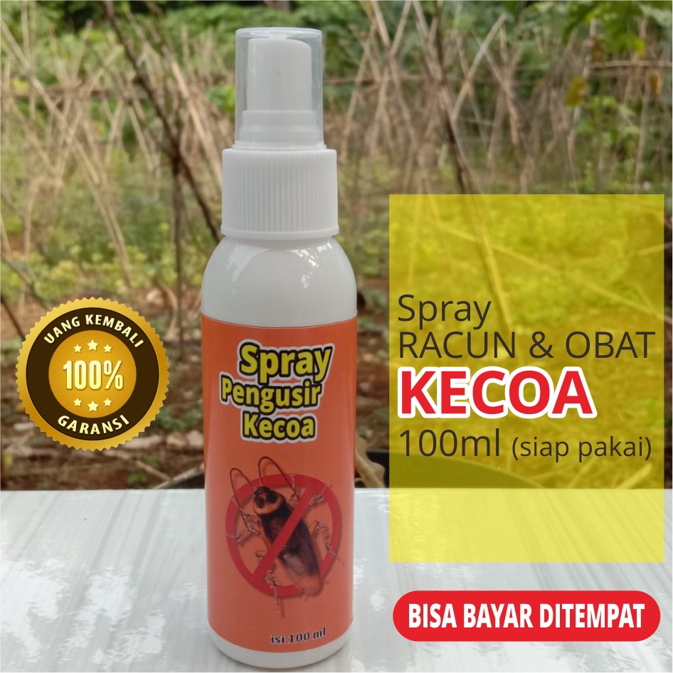 Spray PEMBUNUH KECOA &amp; SERANGGA 100ml