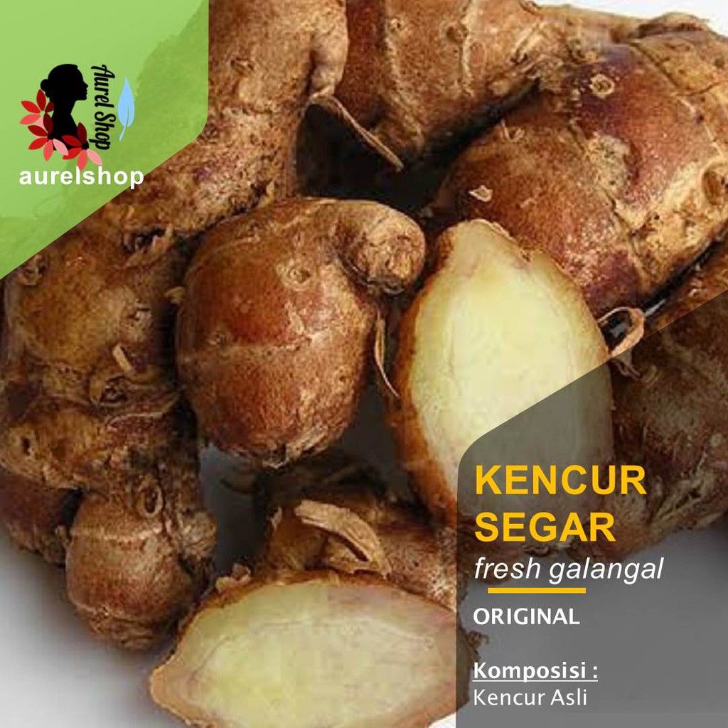 

Kencur Segar kemasan 1 kg