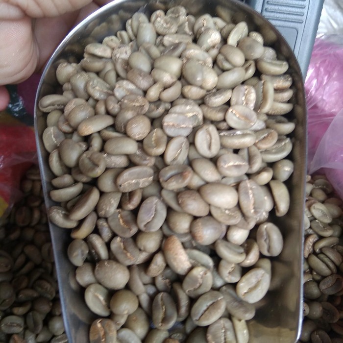 

(BISA COD) Greenbean arabika Arjuno spesial - anaerob