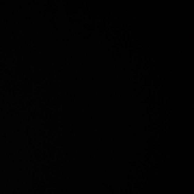 Scoop Buah Mini (1pc)