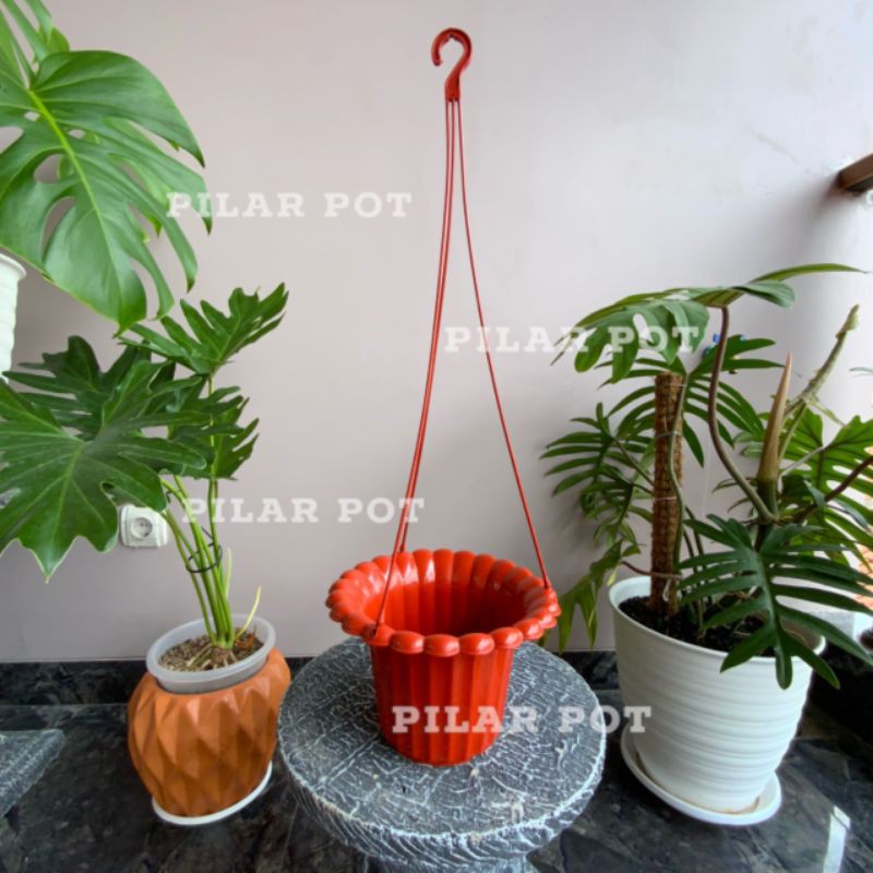 pot bunga tanaman gantung mawar merah bata 20cm - original