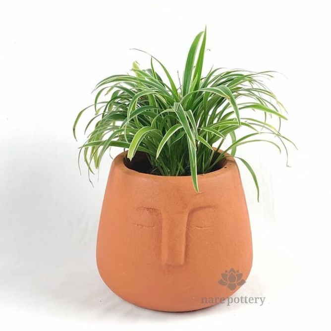 Pot Wajah Datar / Pot Terracotta / Pot Tanah Liat / Pot Gerabah / Pot Unik / Pot Terakota