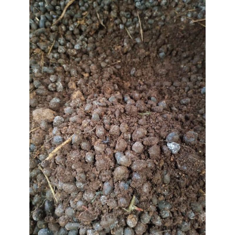 

pupuk kandang kotoran kambing