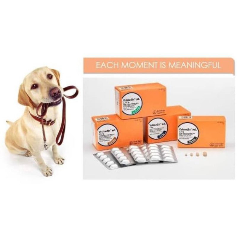 Vetmedin 1.25mg per 10 tablet