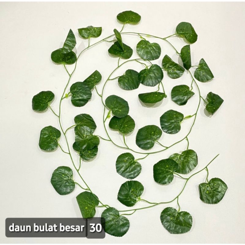 [1 LUSIN] DAUN RAMBAT / DAUN ANGGUR / DAUN IVY / DAUN SRI GADING