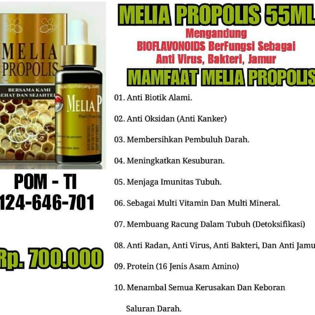 Propolis Melia 55ml Original | Propolis Melia Sehat Sejahtera 55ml