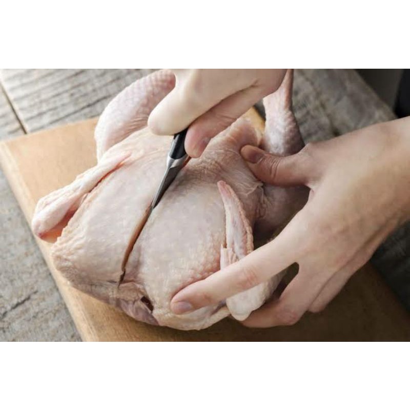

Jasa Potong Ayam
