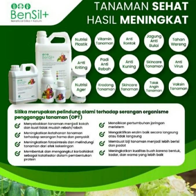 Bensil+ Beneficial Silika + Kalium 500 Ml Pupuk Cair Silika + Kalium