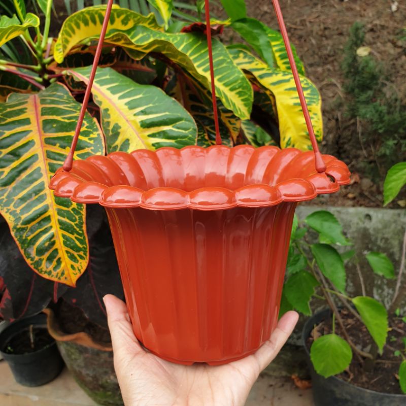 POT GANTUNG MAWAR ASLI BJP pot bunga gantung budi jaya cantik bagus murah