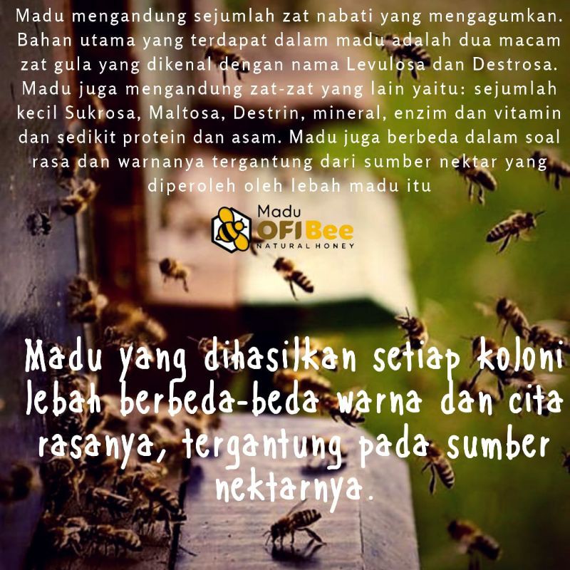 [2 Botol Lebih Murah] | Madu Asli Alami Nektar Bunga Madu OFi Bee | Madu Murni Mentah | Raw Honey