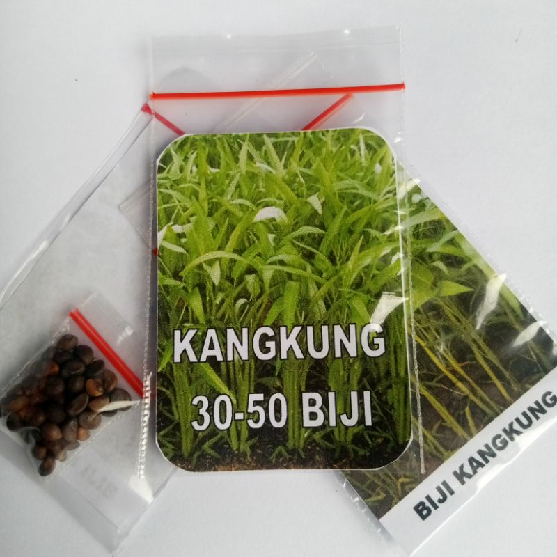 Biji Kangkung Benih Kangkung Siap Semai