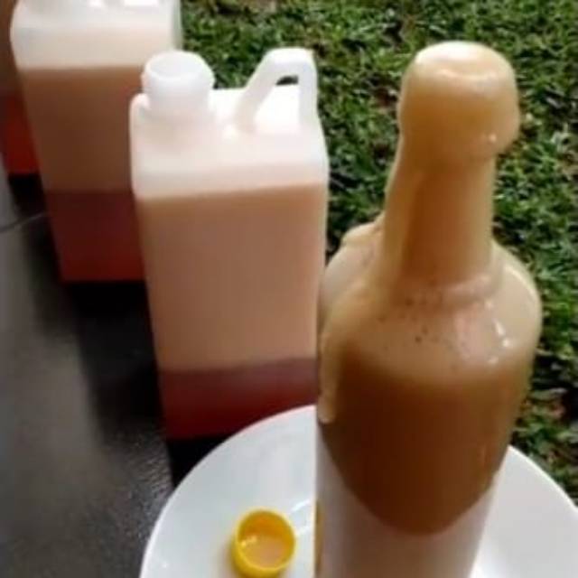 

Madu ternak liar Asli NTB