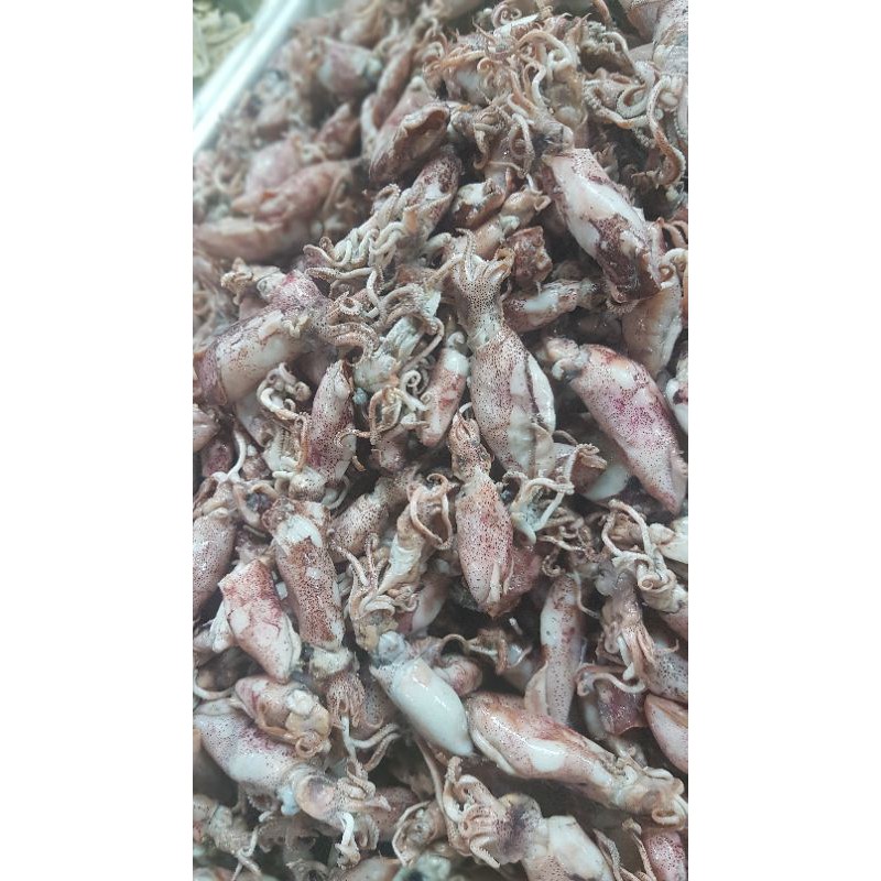 

cumi asin basah 250 gram