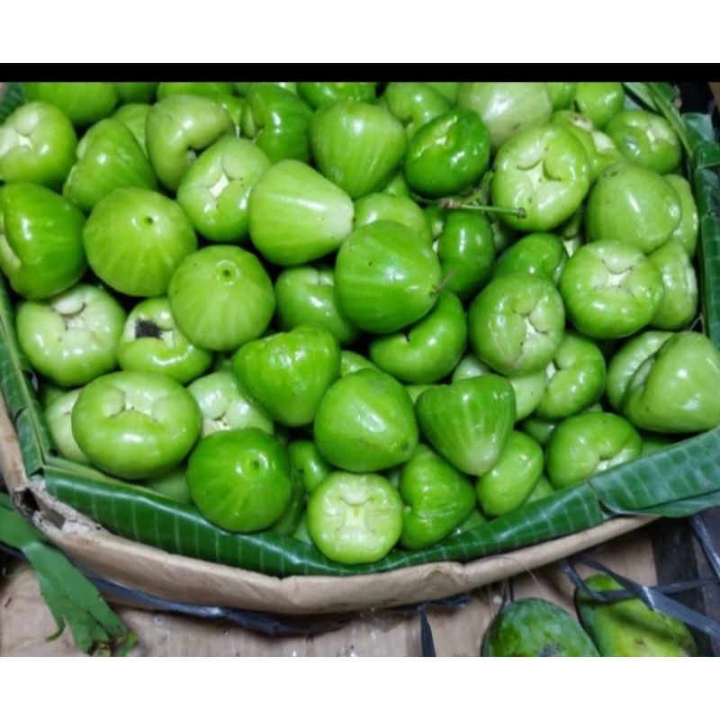 

Buah jambu air hijau 1 kg