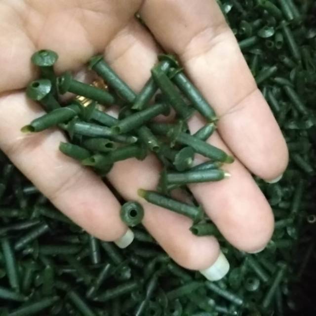 Paku suyok /tusuk suyok /bahan suyok  setengah kg