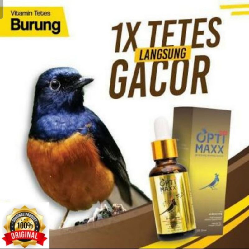 optimaxx serum vitamin burung lomba suara kuat peng gacor murai ori