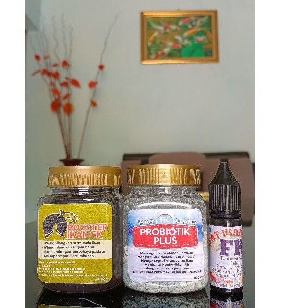 Paket Si Budi Ember FK 3 produk  (probiotik, booster dan obat ikan)