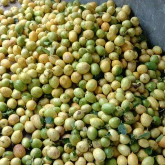 

1 KG JERUK LEMON SEGAR / LEMON / BUAH LEMON