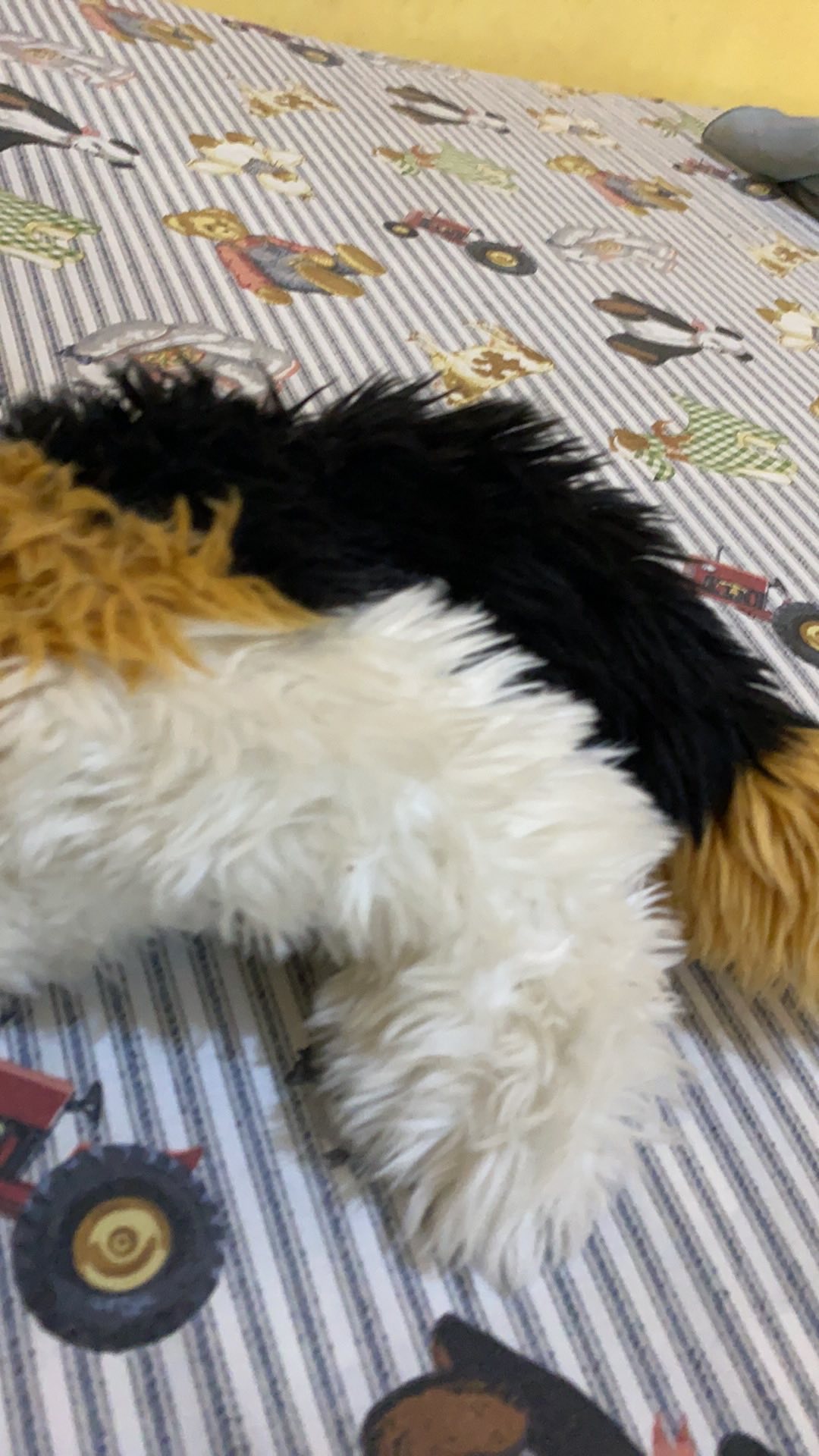 (laviennashop)ready Stok Bandung Handuk Poncho / Handuk Hoodie / Hoodie Towel / Handuk Renang Anak