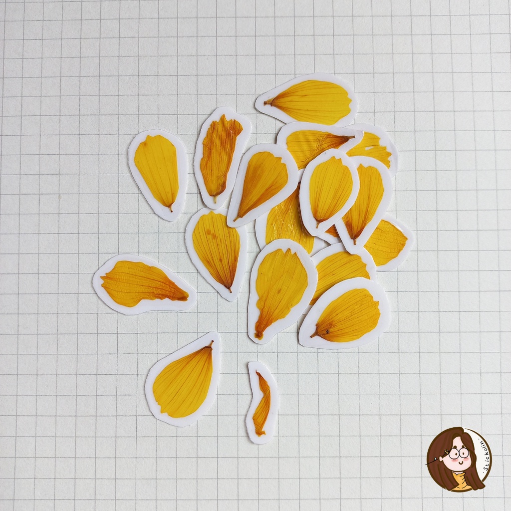 

Yellow Cosmos Petals Dried & Pressed Flower Sticker / Stiker Bunga Kosmos Tekan (u/kerajinan tangan, hiasan, journal)