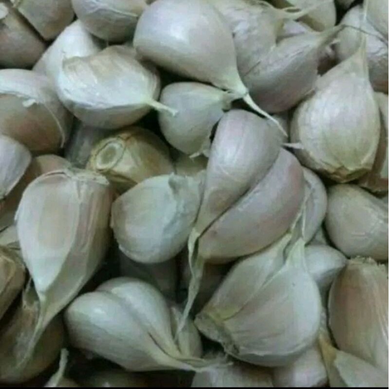 

Bawang Putih Kating 500 Gram