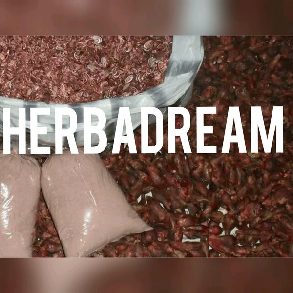 

1 KG BUBUK BAWANG DAYAK BERLIAN SAYUP SIYEM BRAMBANG MERAH HUTAN SABRANG ELEUTHERINE BULBOSA CONG TEARS OF VIRGIN DRIED SERBUK POWDER TEPUNG