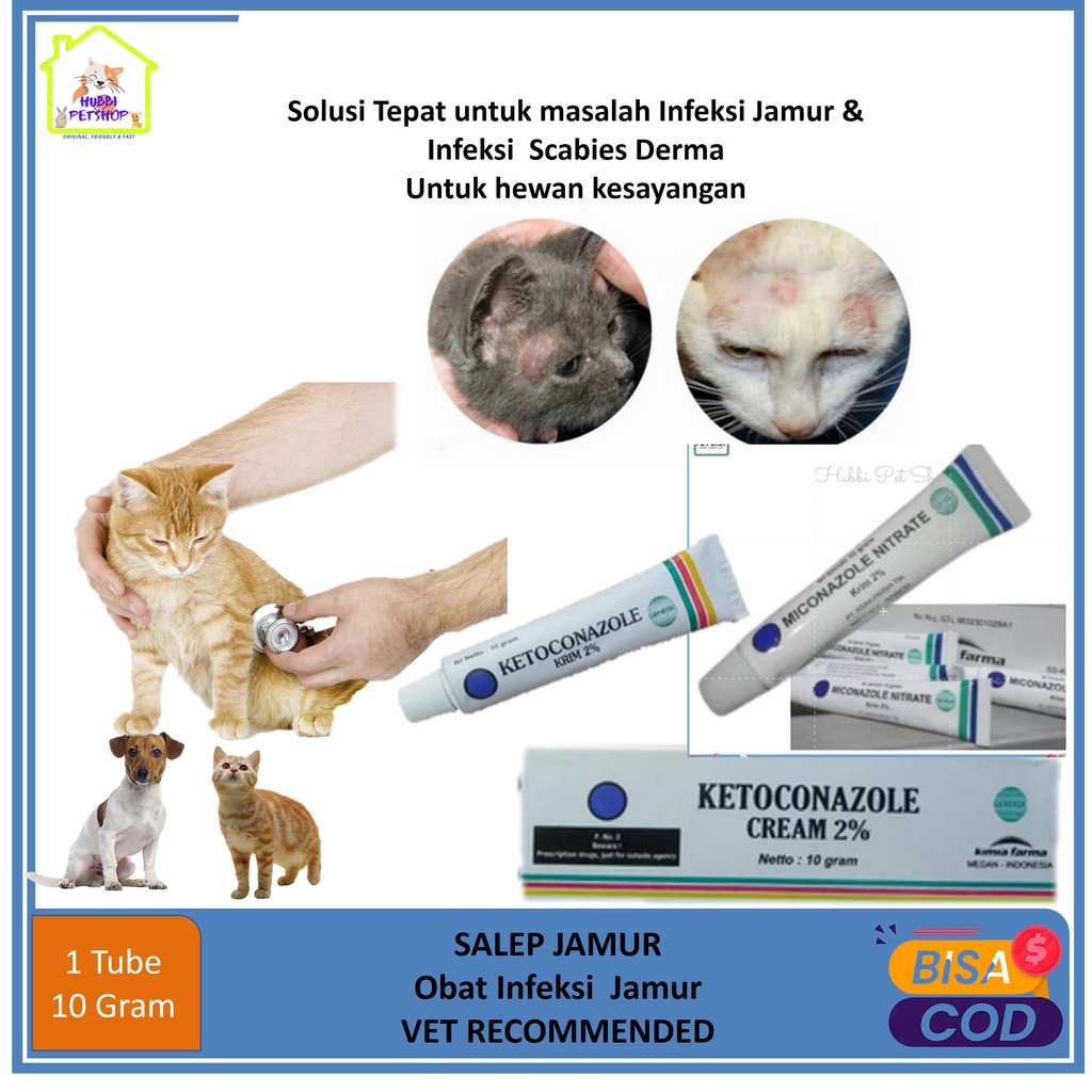 Obat Jamur Kucing Obat Salep Jamur Scabies Kucing Kitten anjing kelinci kambing dan iritasi kulit