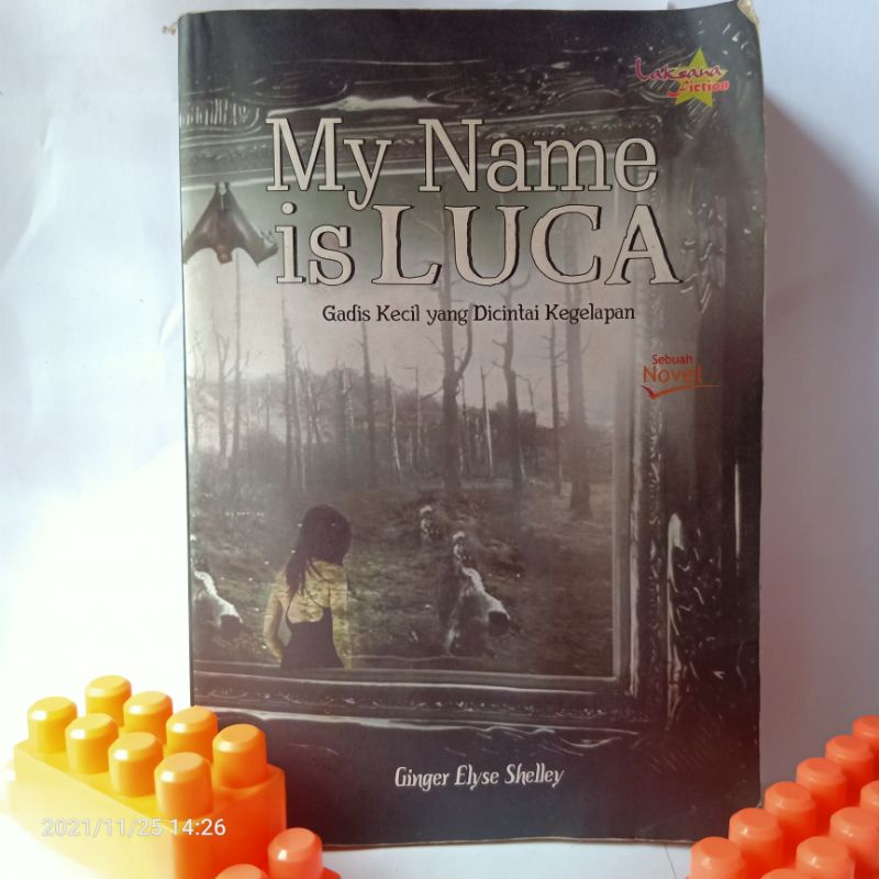 My Name is Luca Novel Horror karya Ginger Elyse Shelley