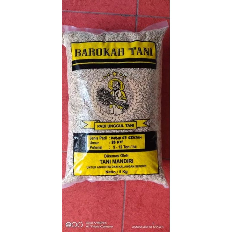 Benih Padi Kabir 07 GENJAH