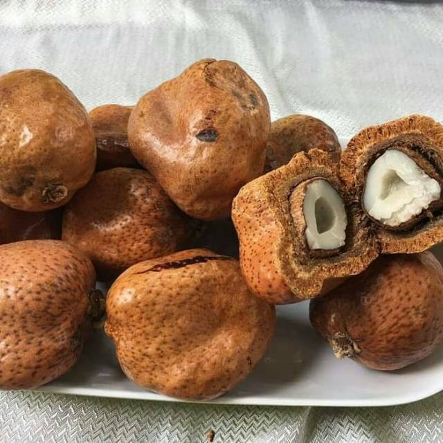 

Buah dzurriyyat