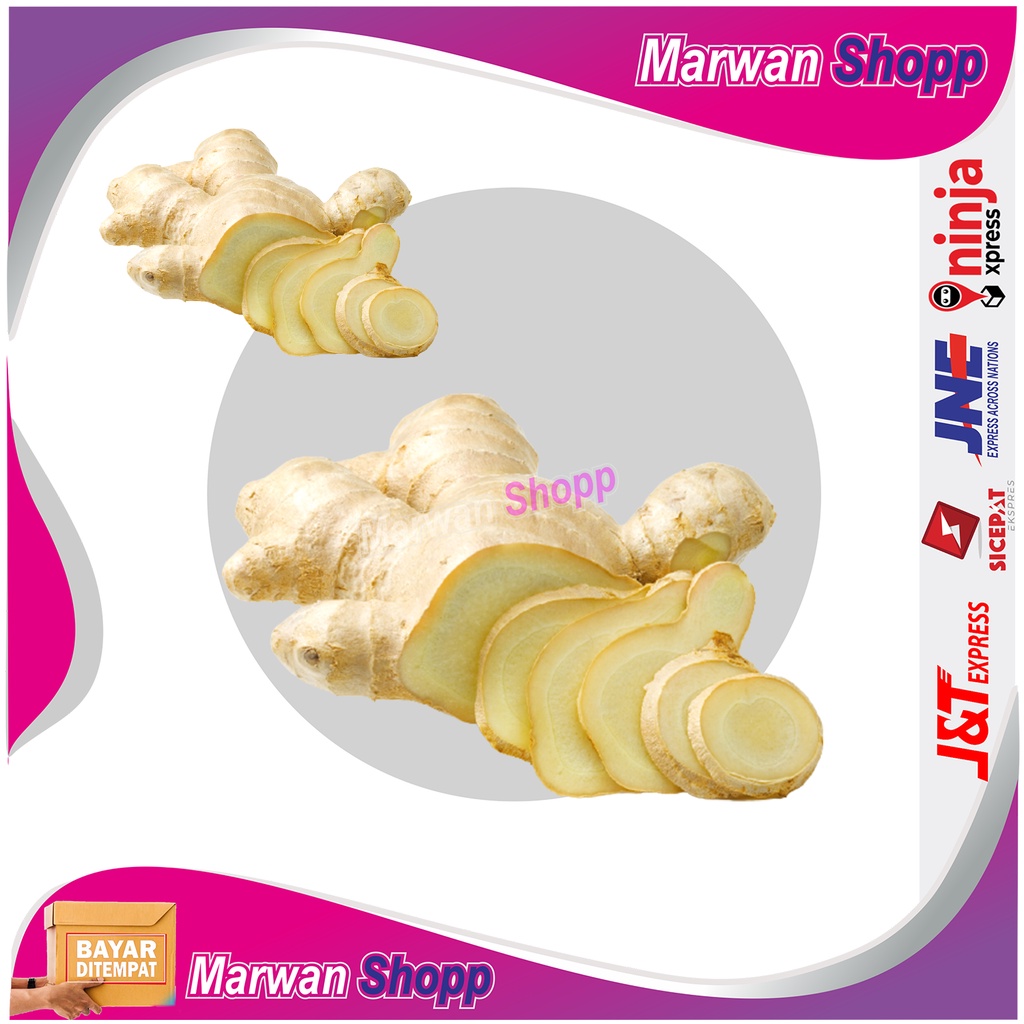 

Lempuyang Lampuyang segar herbal 100 Gram MARWAN SHOPP