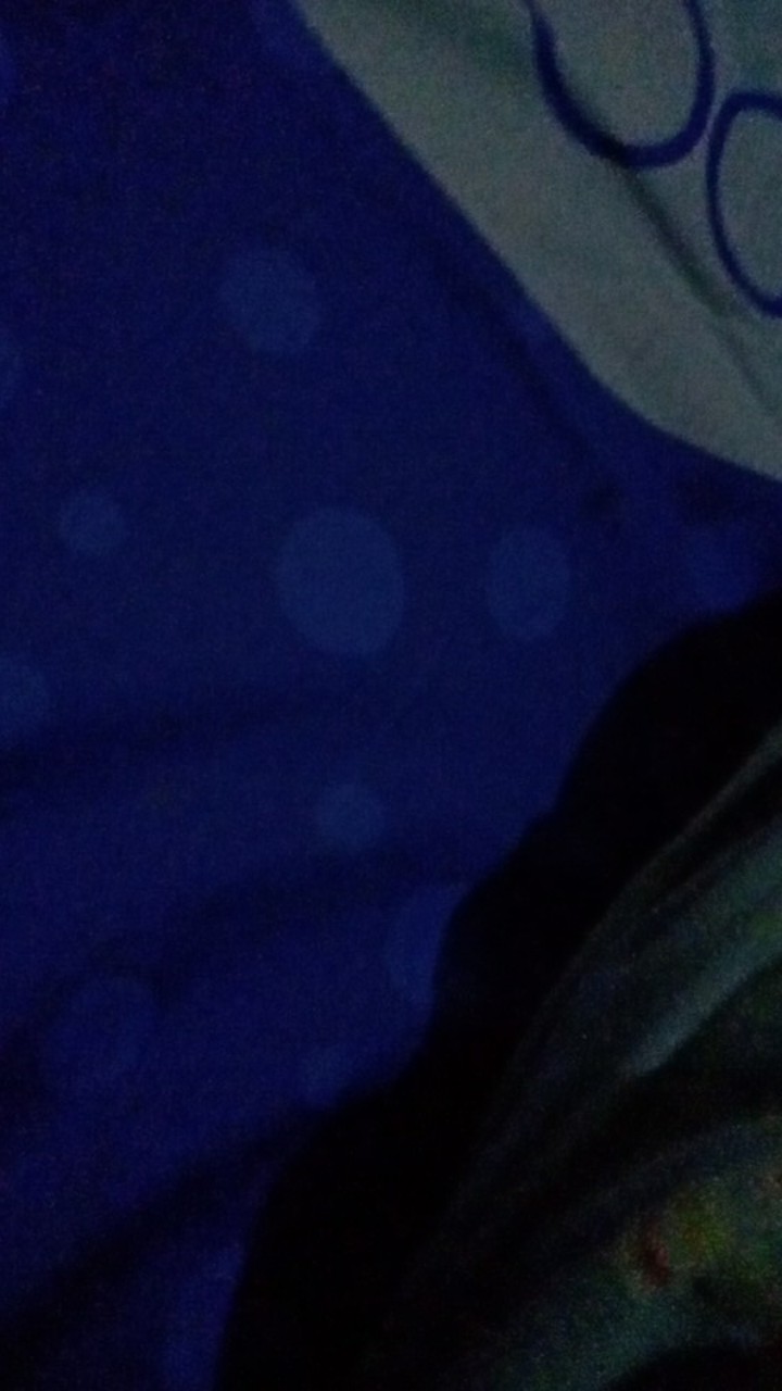 Bedcover + Sprei Bonita Rumbai King Size Uk 180x200 Pandora Lily Spazio Aurora Cactus Paris Wedding