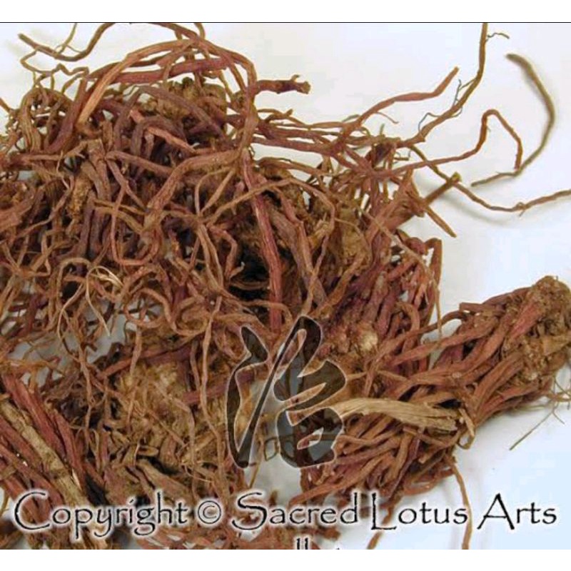 

300 G GR GRAM 北紫菀 BEI ZI WAN 北紫苑 BEI ZI YUAN PURPLE ASTER ROOT