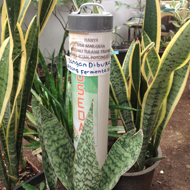 Em4 Pertanian Bakteri Starter Pengurai Sampah Dan Bahan Organik 1 Liter