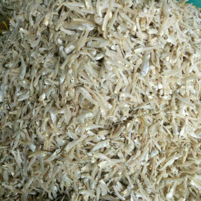 

Ikan Teri
