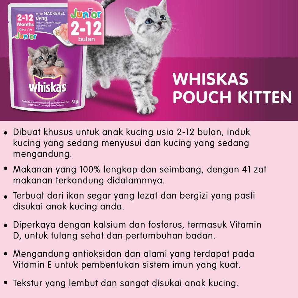 Liaris Dobel Hemat 6 Whiskas Pouch Junior 85gr Makanan Kucing