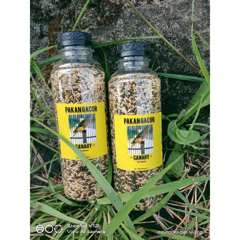 PAKAN PENGGACOR BURUNG KENARI.
