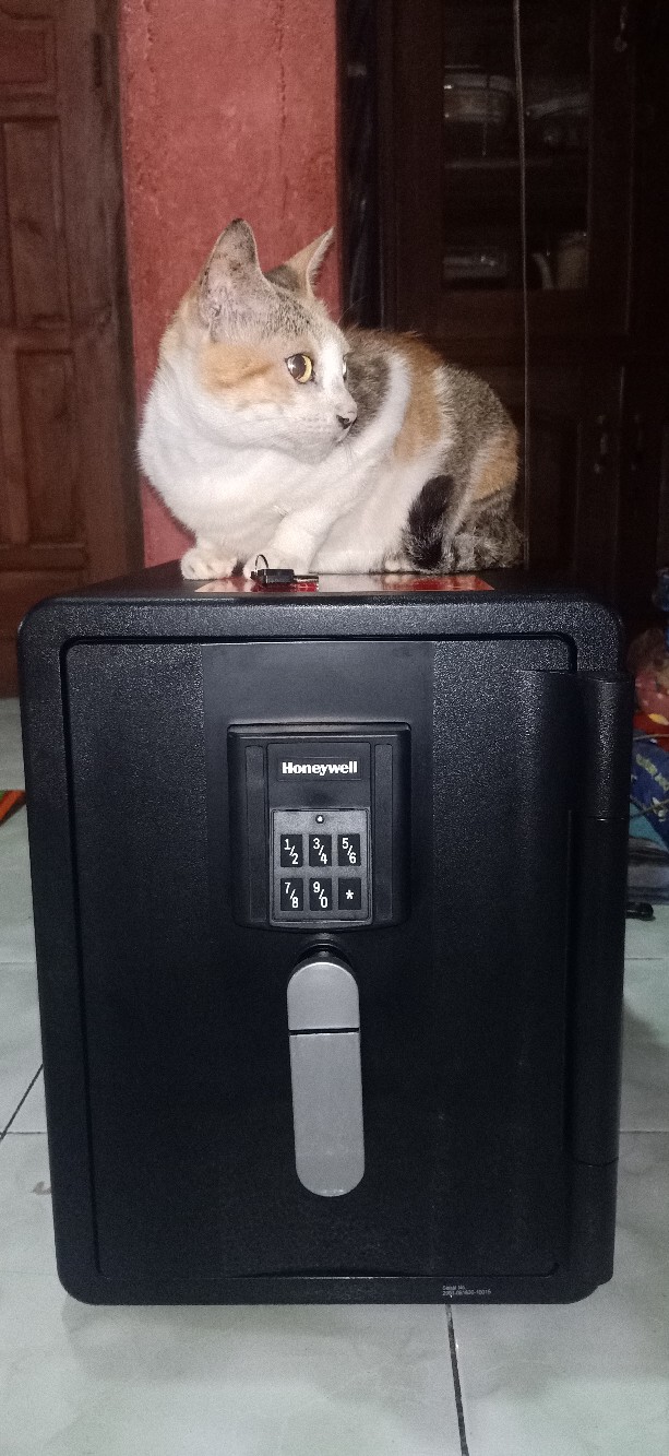 Brankas Honeywell 2901 Brankas 2901 Tahan Api  Dan Air Garansi 7 Tahun