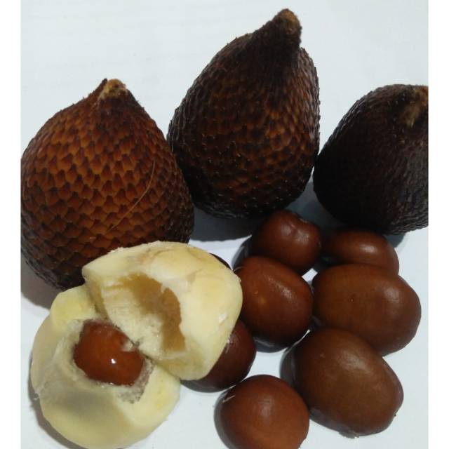 BIJI SALAK PONDOH MANIS