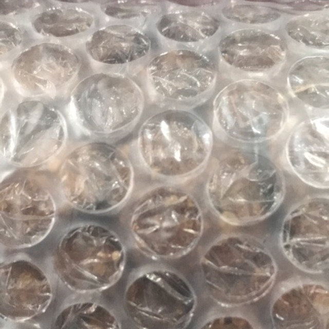

Bubble Wrap | Khusus Pembelanjaan di [ Toserba SIERRA ]