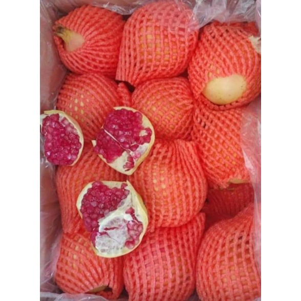 buah delima mesir