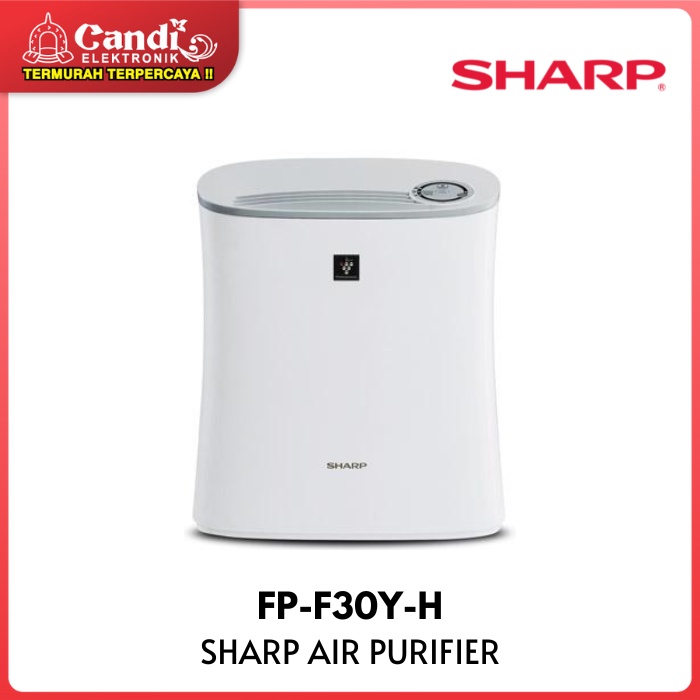 SHARP Air Purifier HEPA Filter FP-F30Y-H