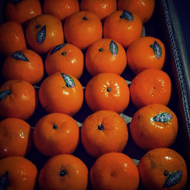 

JERUK RAJA PAKISTANI