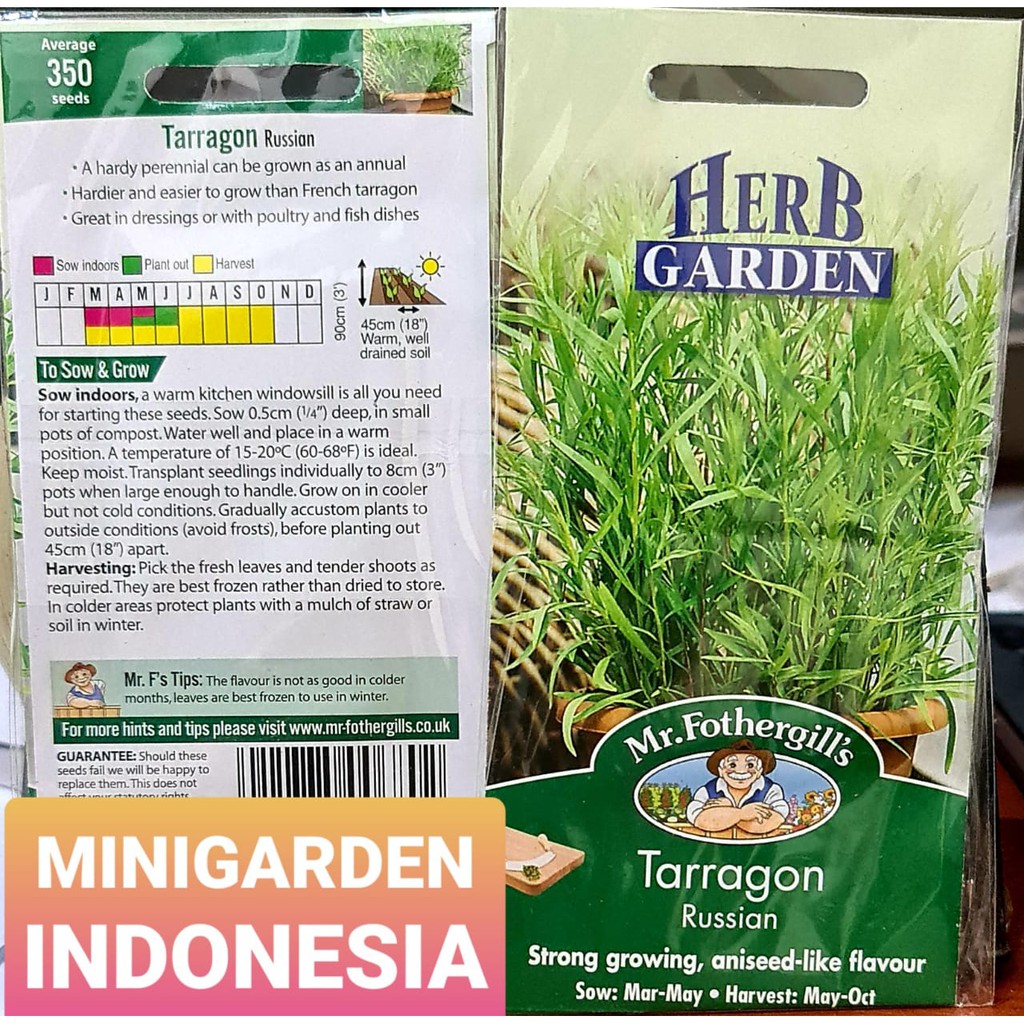 benih Herbal TARRAGON RUSSIAN PACK 350 BIJI bibit sayur herbal import F1 Fothergills Bibit tanaman obat taragon