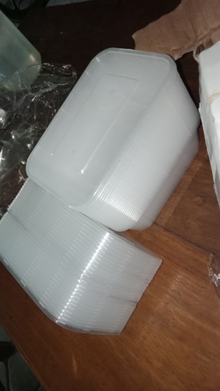 Promo!!! Food Container Box Tempat Makanan Plastik Thinwall Polos Uk: 750 Ml (25pcs)