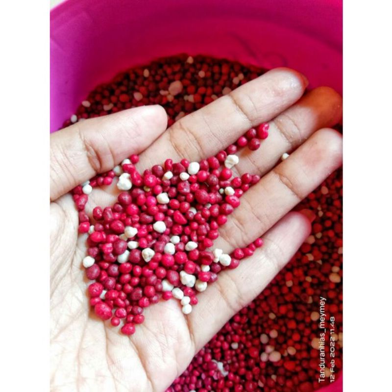 pupuk merah decastar slow release pupuk aglonema pupuk osmocote