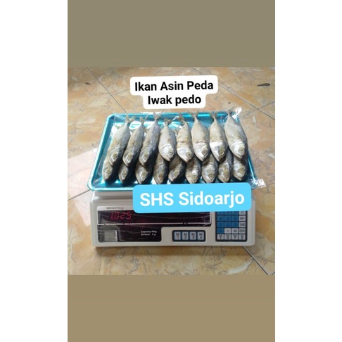 IKAN ASIN PEDA BESAR 500gr | IKAN LAYANG | IWAK PEDO TUBAN | IKAN BANYAR BESAR